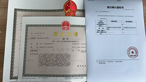 上海公司營業(yè)執(zhí)照股權變更流程完整指南(含避坑秘籍)