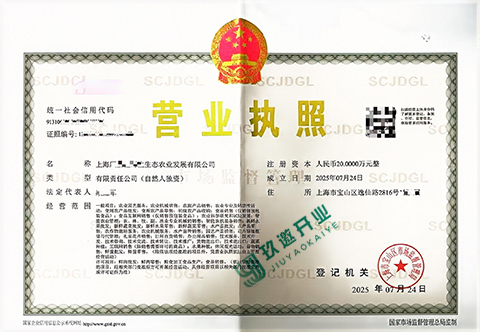 上海有限公司注冊如何辦理?